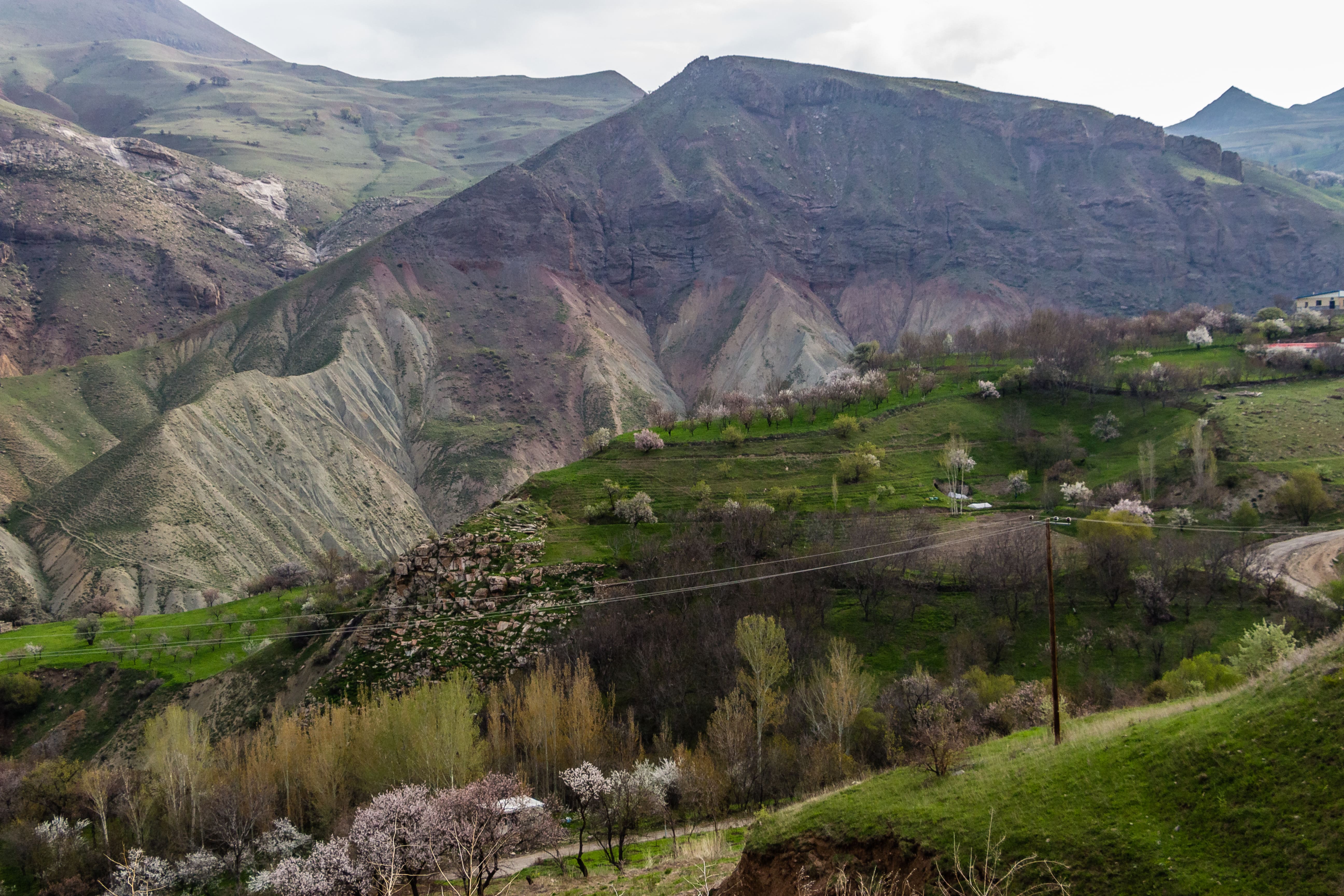 شیل پالئوسن - ائوسن روستای اندریان-1-3-min.jpg